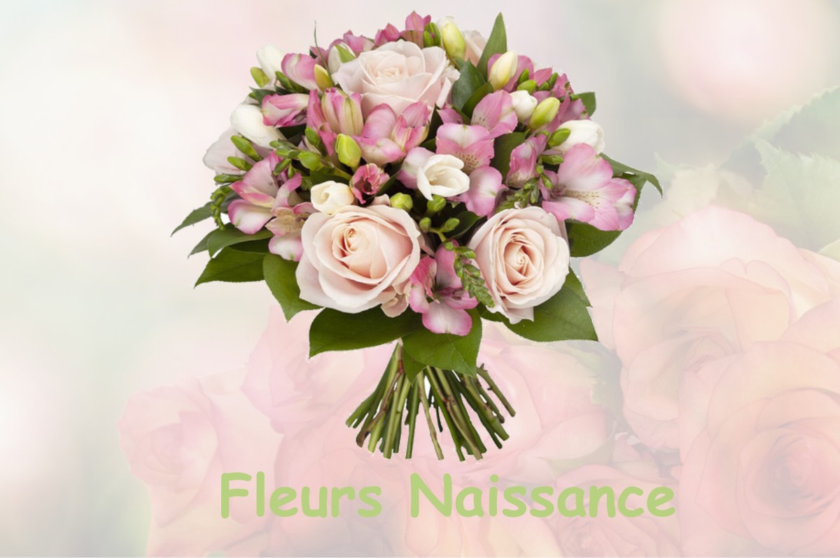 fleurs naissance BEZU-LE-GUERY